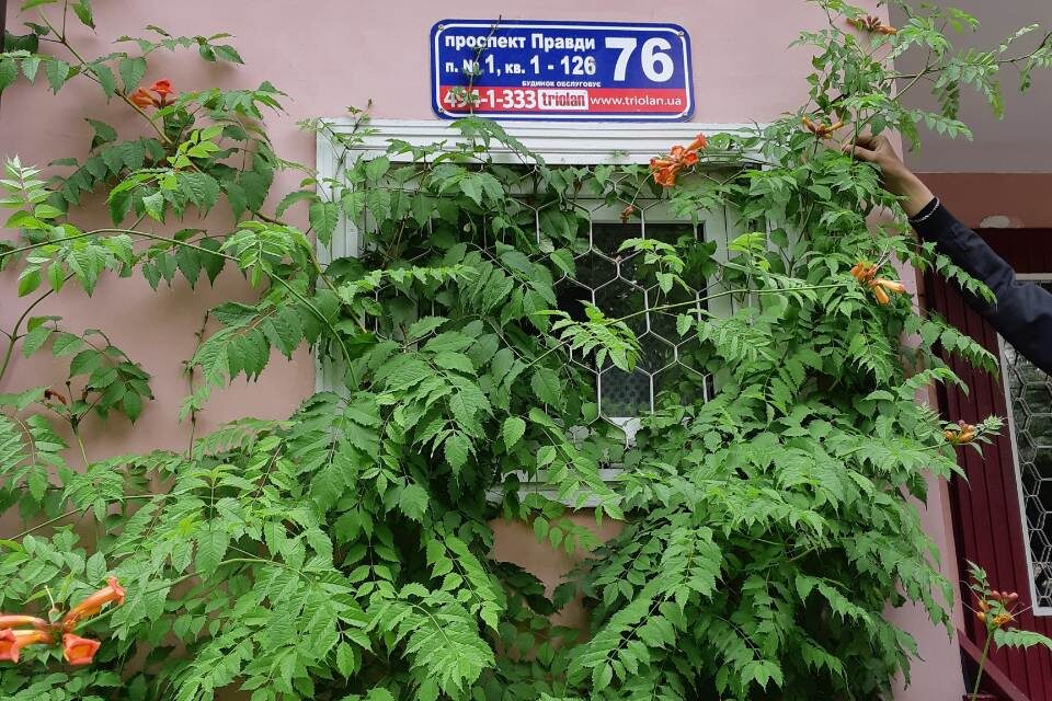 444
